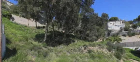 Terreno en Sant Cebrià de Vallalta, Spain No. 69765 10