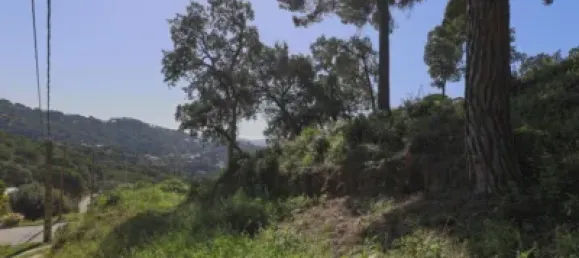Terreno en Sant Cebrià de Vallalta, Spain No. 69765 5