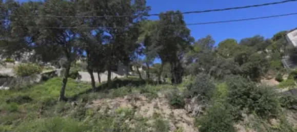 Terreno en Sant Cebrià de Vallalta, Spain No. 69765 7