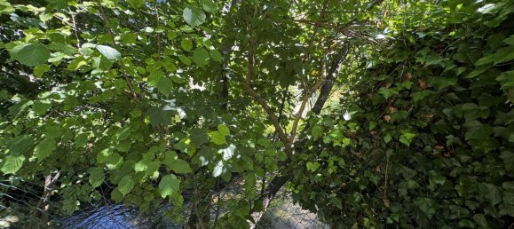 8 bedrooms House in Neunkirchen, Austria No. 222429 20