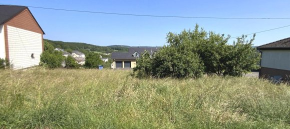 Grundstück in Trier-Saarburg, Germany, Nr. 138209 2