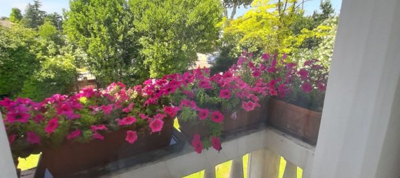 8 rooms Villa in San Donà di Piave, Italy No. 269866 46