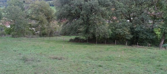 Land in Vorges-les-Pins, France No. 194674 3