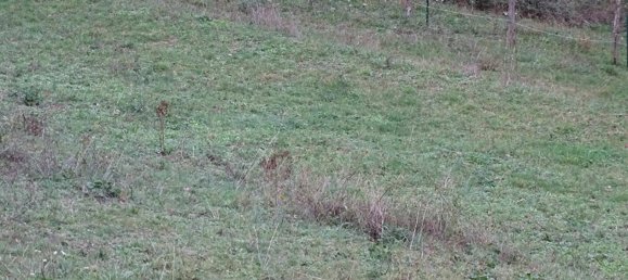 Land in Vorges-les-Pins, France No. 194674 2