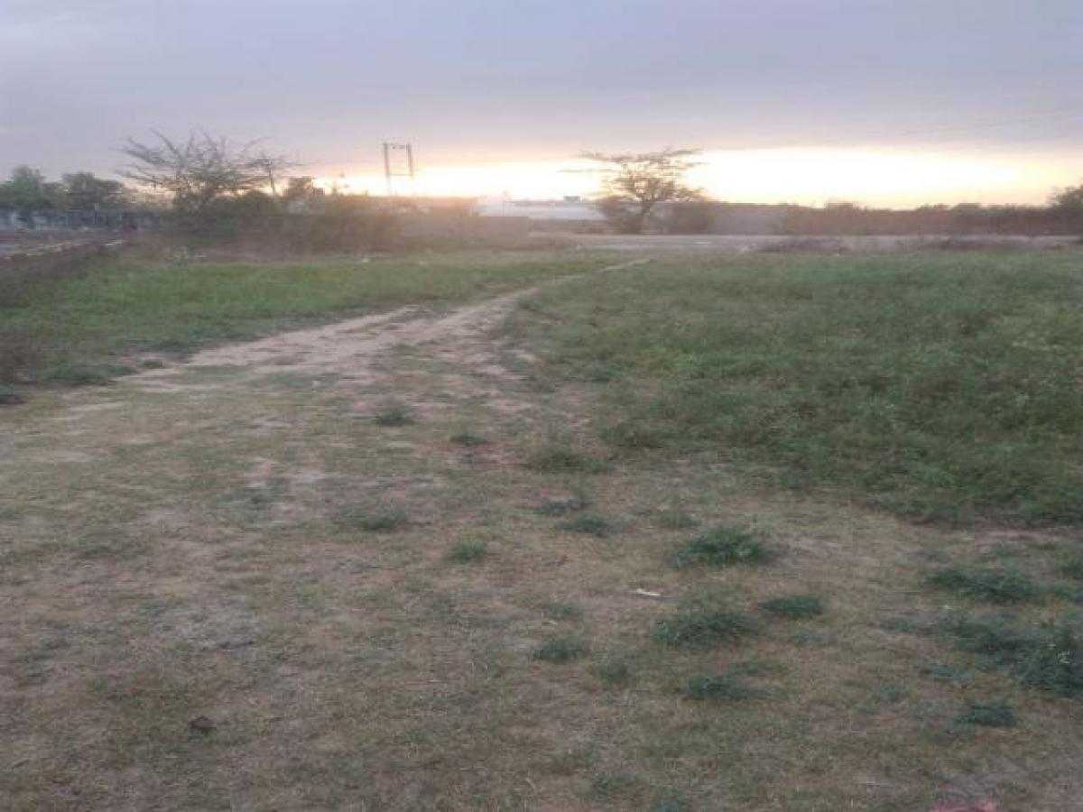  Land in Faridabad, India No. 32454