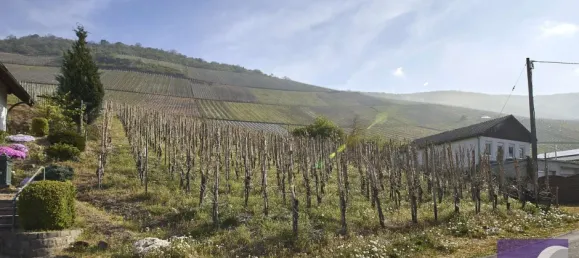 Земельный участок в Бернкастель-Витлих, Германия № 288017 2