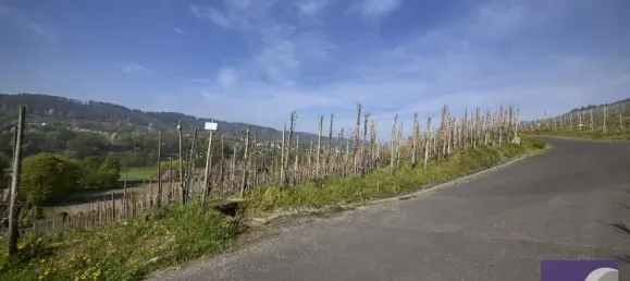 Земельный участок в Бернкастель-Витлих, Германия № 288017 5