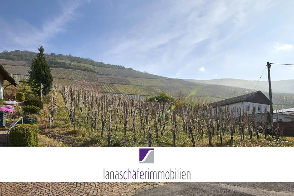 Земельный участок в Бернкастель-Витлих, Германия № 288017