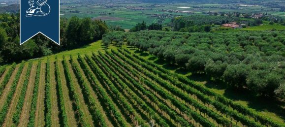 6 bedrooms Villa in Verona, Italy No. 329304 9