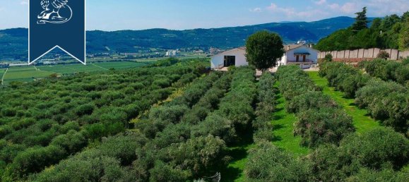 6 bedrooms Villa in Verona, Italy No. 329304 12