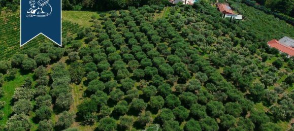 6 bedrooms Villa in Verona, Italy No. 329304 8