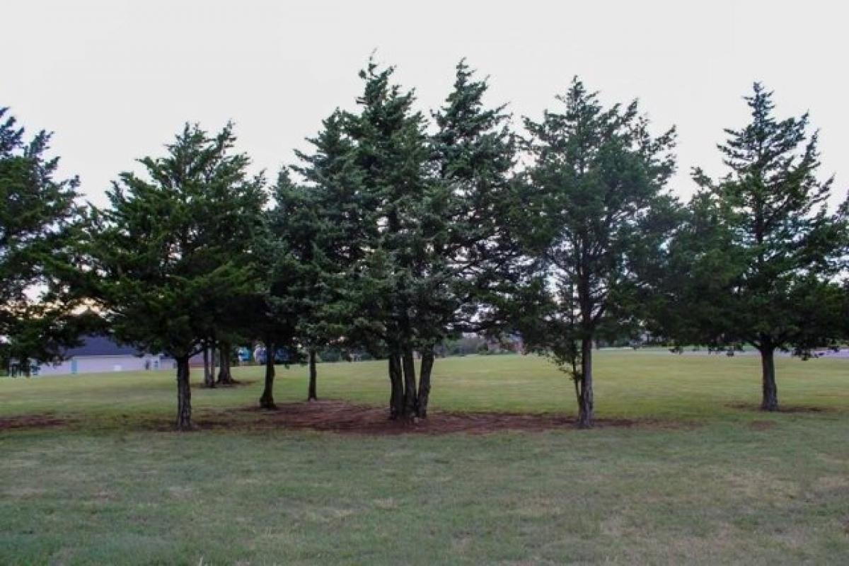 Terreno en Edmond, USA No. 500475