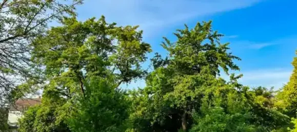 Quinta de 14 divisões em Gorlitz, Germany N.º 201571 38