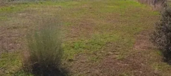 Grundstück in Cordoba, Spain 1500m², Nr. 142943 5