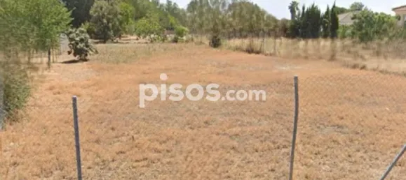 Grundstück in Cordoba, Spain 1500m², Nr. 142943 3