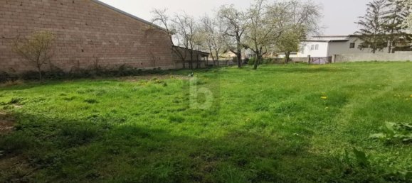 12-Zimmer Haus in Haslau-Maria Ellend, Austria, Nr. 197096 5