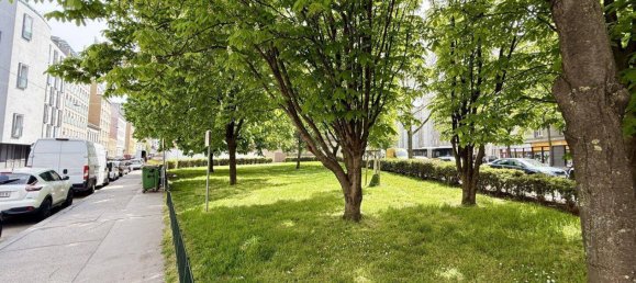 Квартира с 2 комнатами в Фафоритен, Австрия № 131380 33