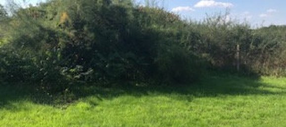 1 غرف نوم منزل في Cernay-la-Ville, France رقم 144113 12