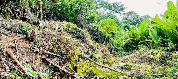  Commercial property in Karon, Thailand No. 14605 6