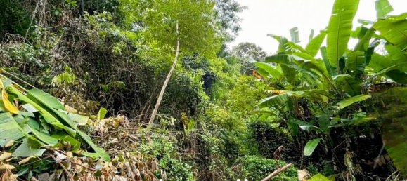  Commercial property in Karon, Thailand No. 14605 5