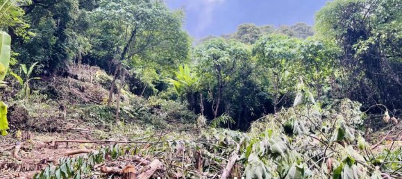  Commercial property in Karon, Thailand No. 14605 3