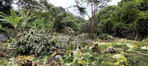  Commercial property in Karon, Thailand No. 14605 2