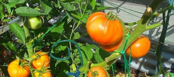 2 Schlafzimmer Wohnung in München, Germany, Nr. 234204 23