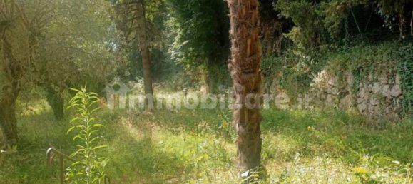 3 bedrooms House in Cetona, Italy No. 47682 13