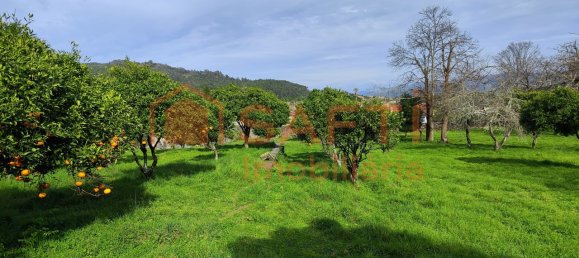 8 bedrooms House in Viana do Castelo, Portugal No. 59127 15