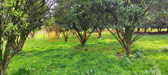 8 bedrooms House in Viana do Castelo, Portugal No. 59127 17