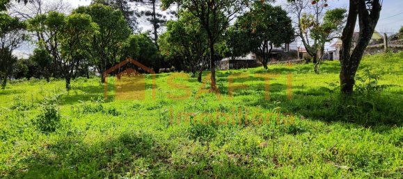 8 bedrooms House in Viana do Castelo, Portugal No. 59127 12