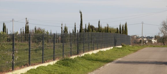 5 chambres Maison à Guia, Portugal No. 30047 16