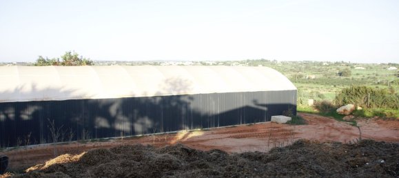 5 chambres Maison à Guia, Portugal No. 30047 23