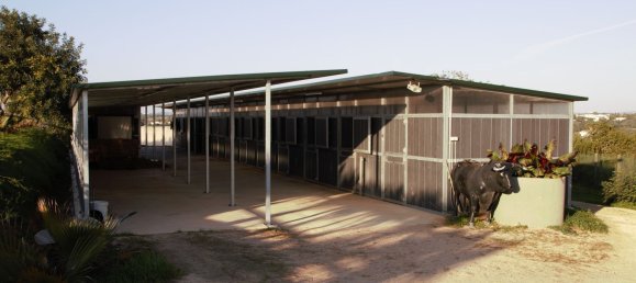 5 chambres Maison à Guia, Portugal No. 30047 13