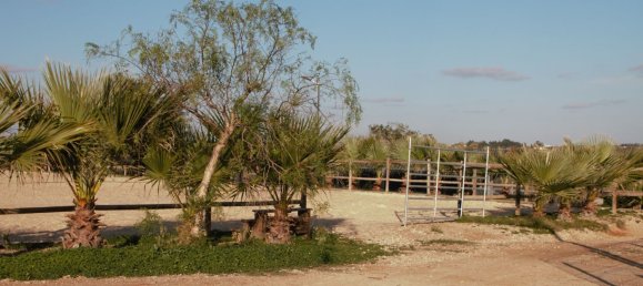 5 chambres Maison à Guia, Portugal No. 30047 19