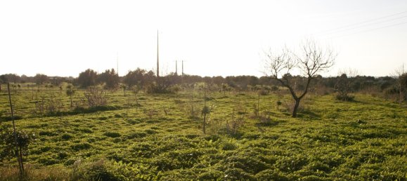 5 chambres Maison à Guia, Portugal No. 30047 22