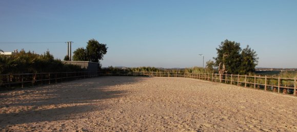 5 chambres Maison à Guia, Portugal No. 30047 20