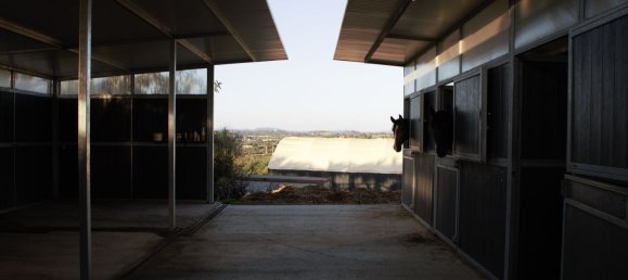 5 chambres Maison à Guia, Portugal No. 30047 12