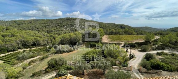 18 Schlafzimmer Haus in Vilanova i la Geltru, Spain, Nr. 82942 6