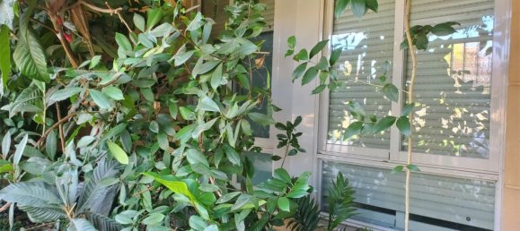 2 chambres Appartement à Madrid, Spain No. 187223 13