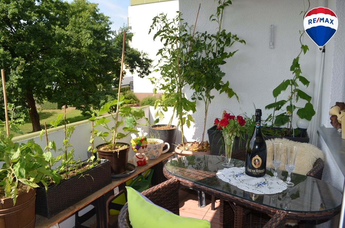 3 rooms Apartment in Hoxter, Germany No. 229591