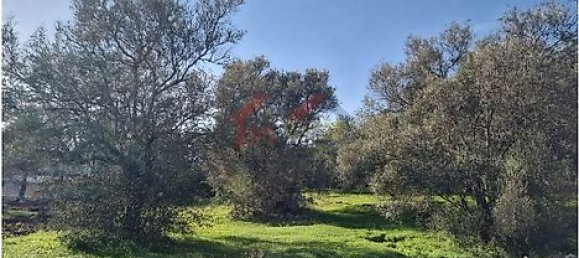 Terreno em São Brás de Alportel, Portugal 2432 m² N.º 31345 2