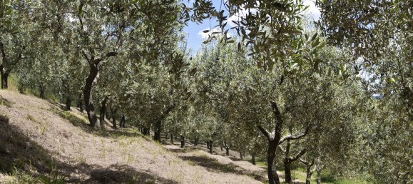 6 bedrooms Villa in Massarosa, Italy No. 165734 12