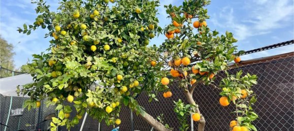 3 chambres Appartement à Valencia, Spain No. 118189 31