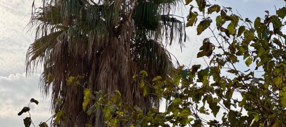 3 chambres Appartement à Valencia, Spain No. 118189 34