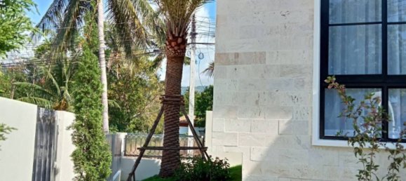 3 bedrooms Cafe / restaurant in Ko Samui, Thailand No. 6338 13