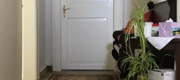 7 rooms Villa in Nordhausen, Germany No. 293828 5