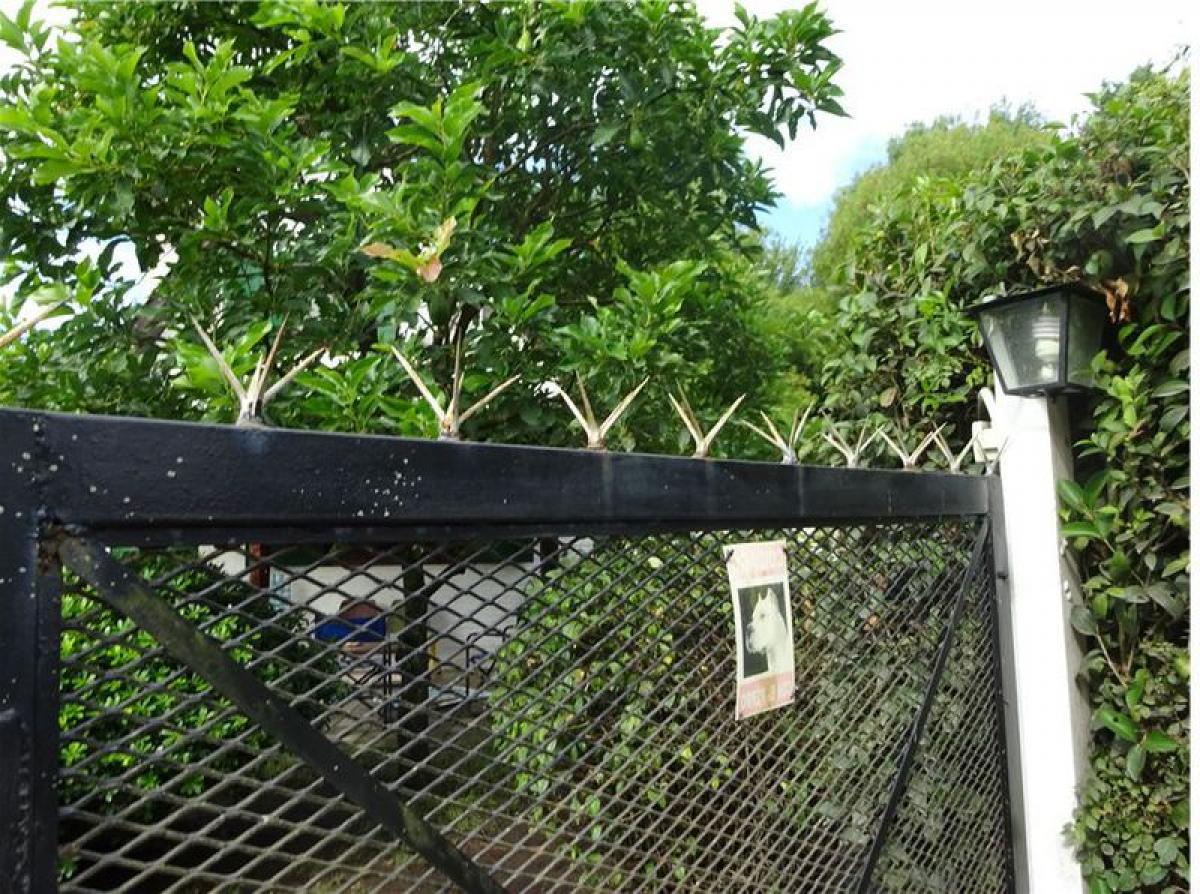 3 Schlafzimmer Bauernhof in Chascomus, Argentina, Nr. 40619