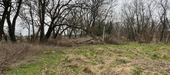 626m² Land in Potsdam-Mittelmark, Germany No. 1667 4