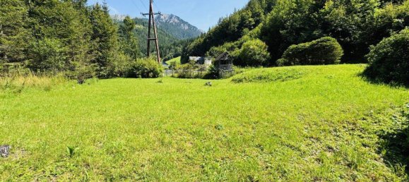 Casa de 10 habitaciónes en Neuberg an der Murz, Austria No. 218758 10